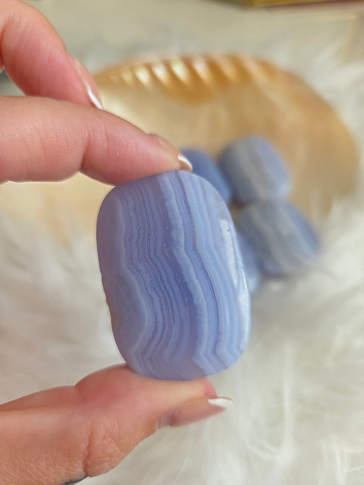 Blue Lace Agate Mini Palms