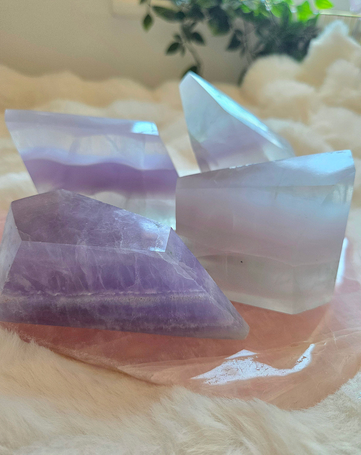 Lavender Flourite Freeforms