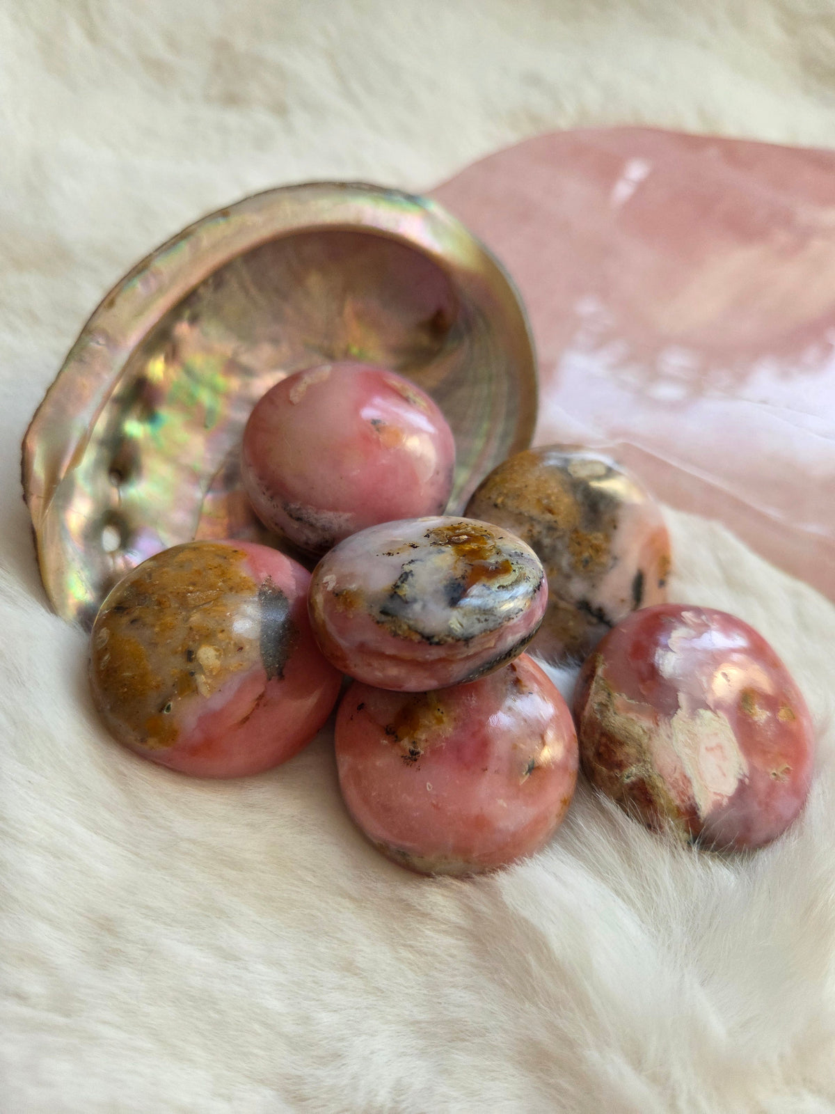 Pink Opal Mini Palm