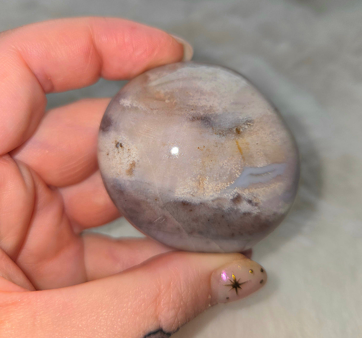 Ocean Jasper Palms - You pick