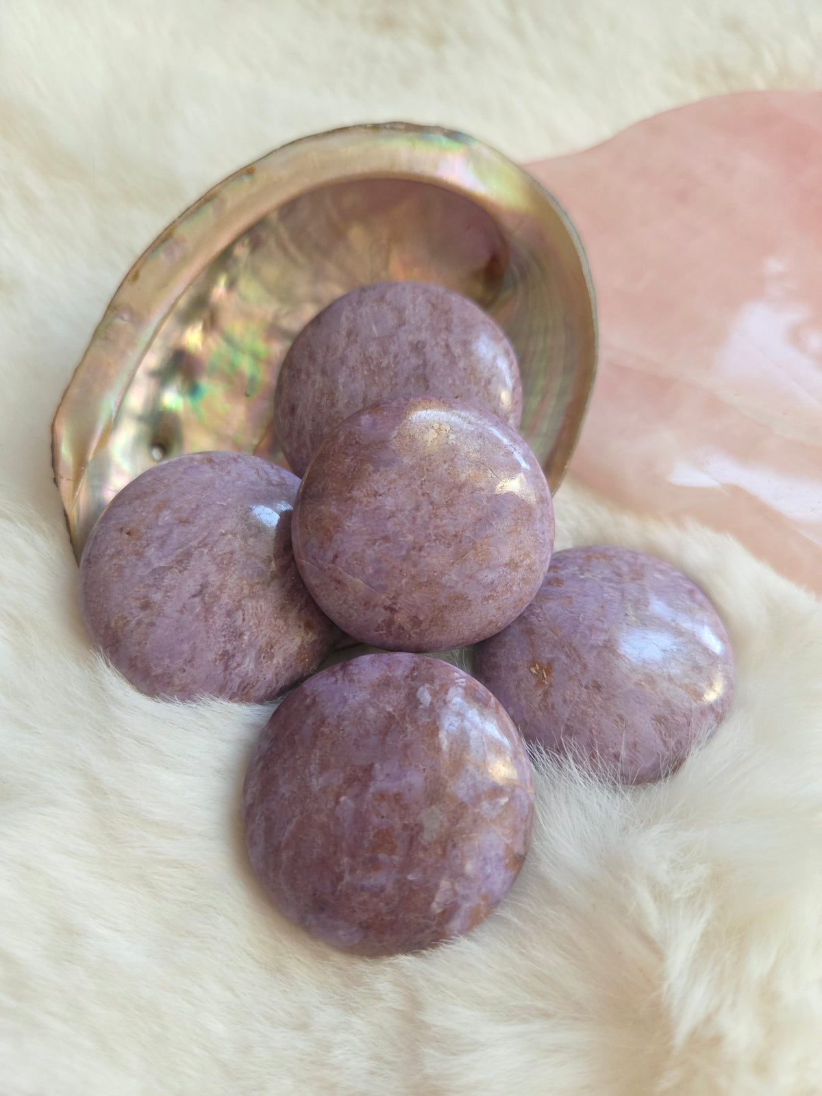 Lavender Jade Mini Palm