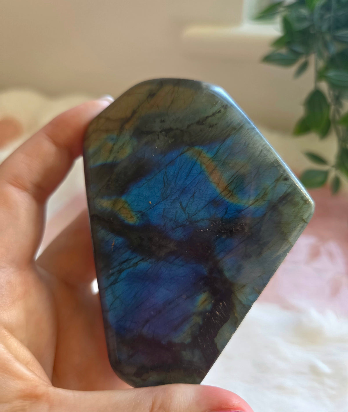 Labradorite Freeform