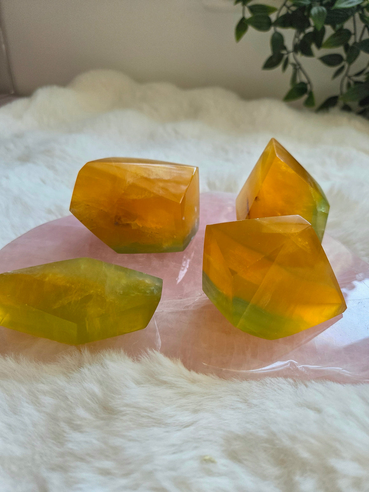 Mango-Lime Flourite