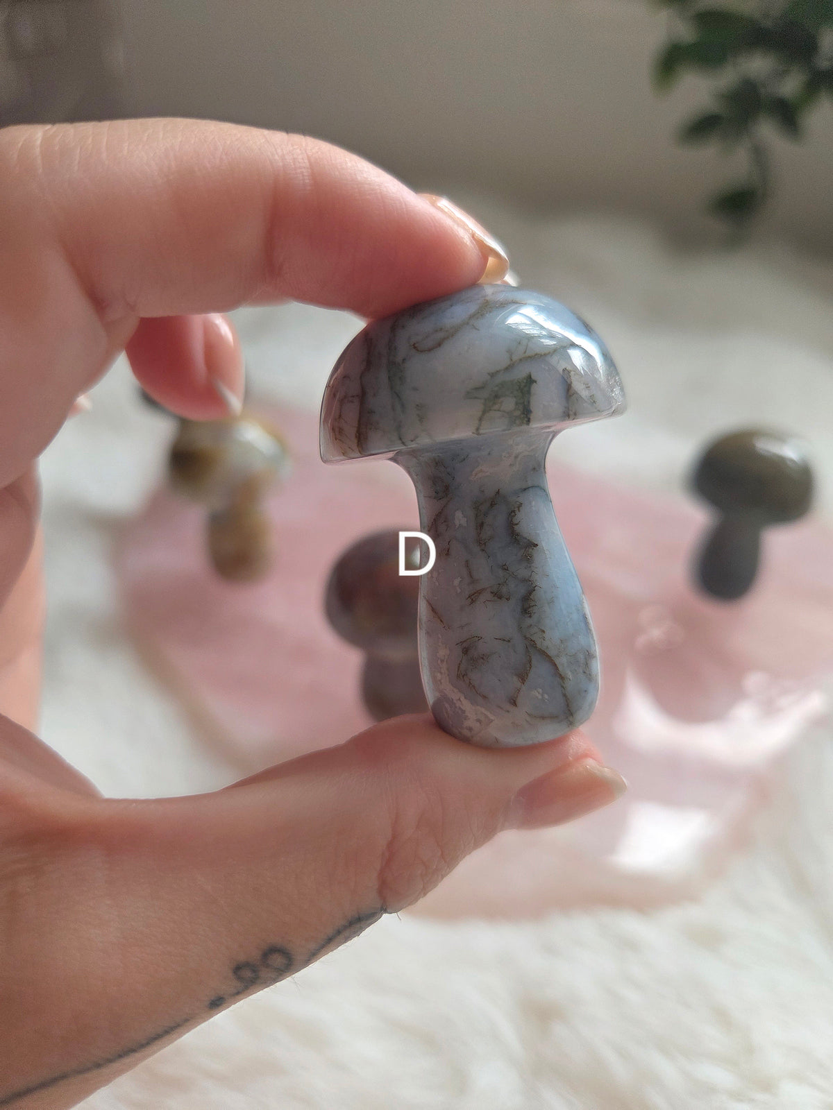 Ocean Jasper Mushroom