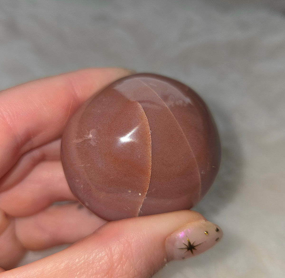 Ocean Jasper Palms - You pick