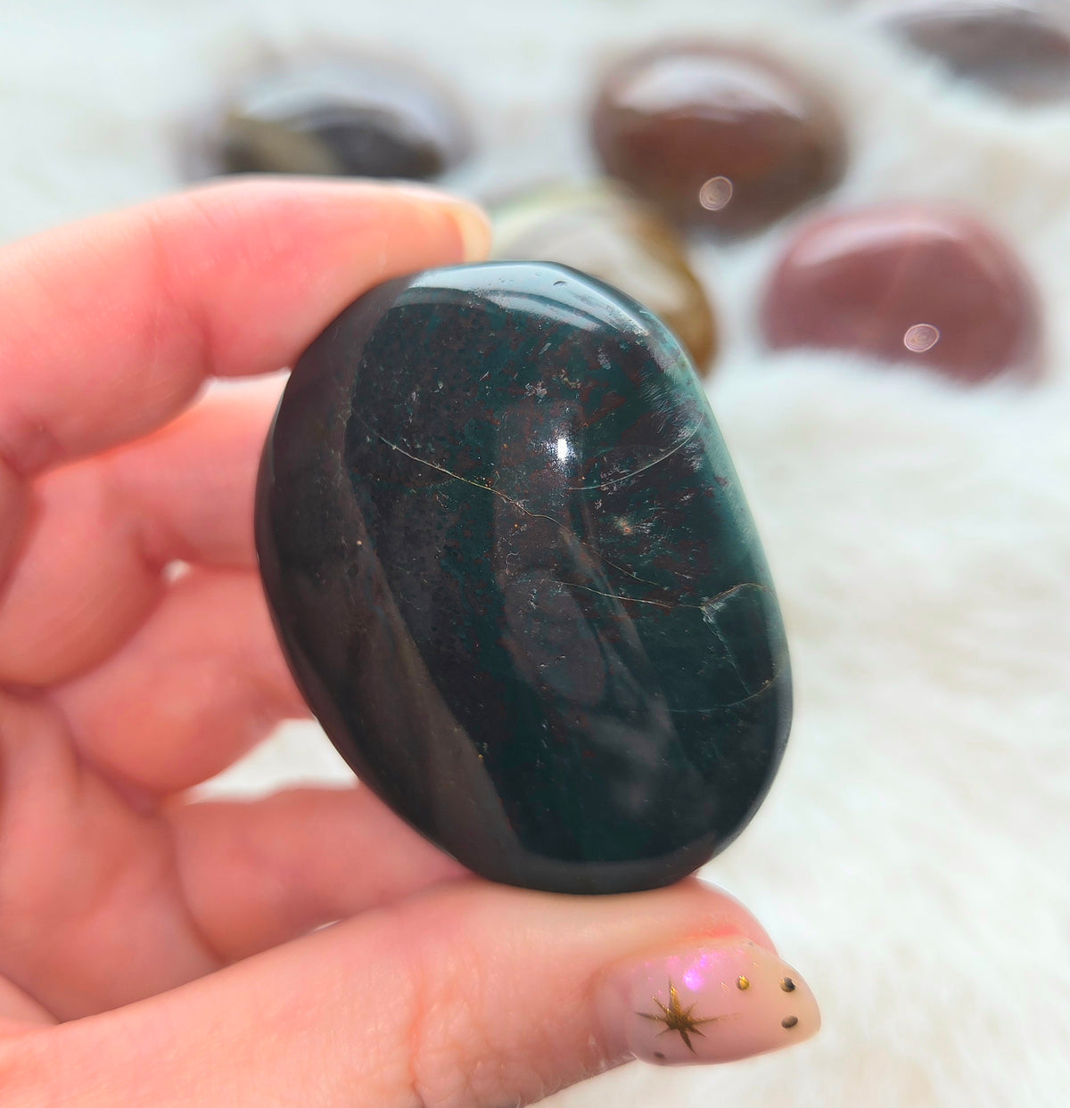 Ocean Jasper Palms - You pick