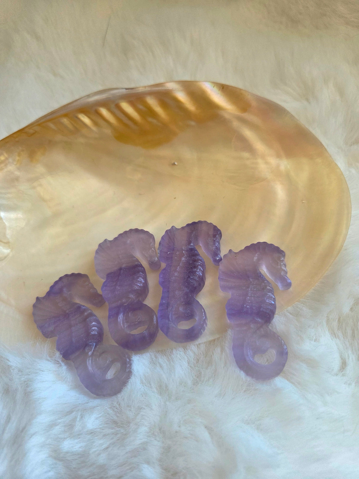 Flourite Seahorse
