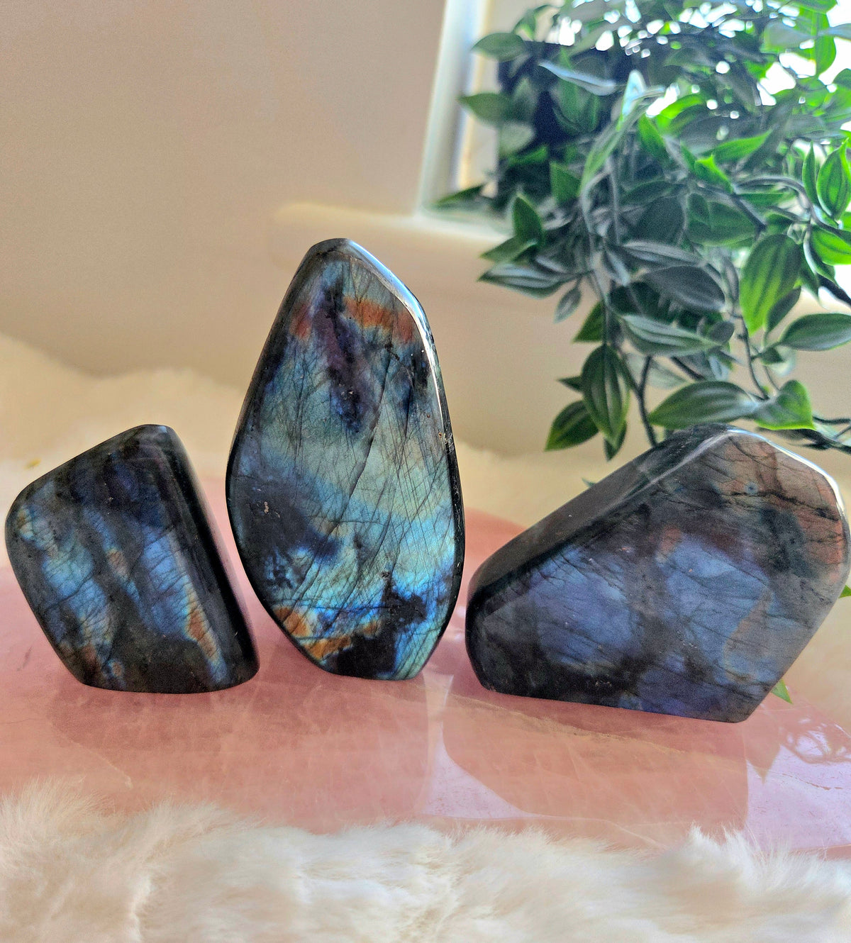 Labradorite Freeform