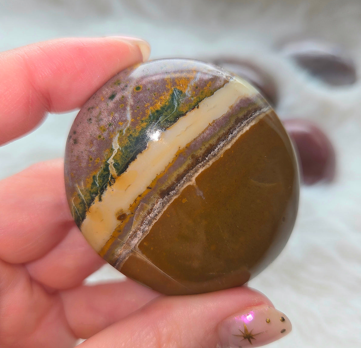 Ocean Jasper Palms - You pick