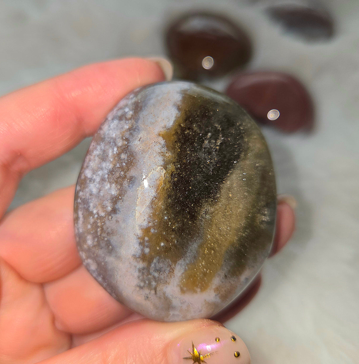 Ocean Jasper Palms - You pick