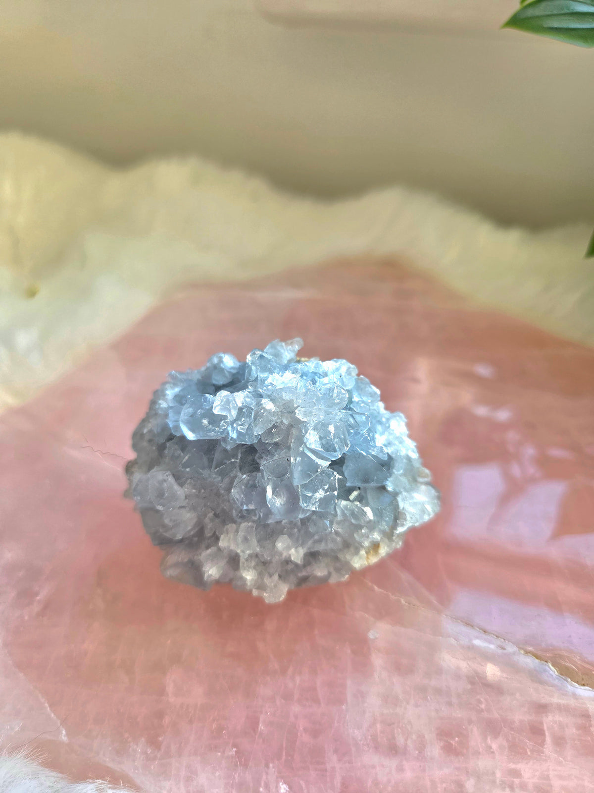 Celestite Cluster