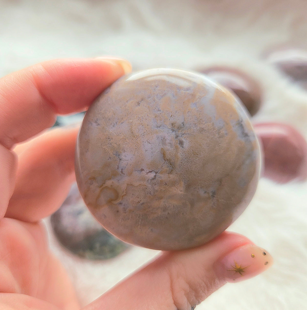 Ocean Jasper Palms - You pick