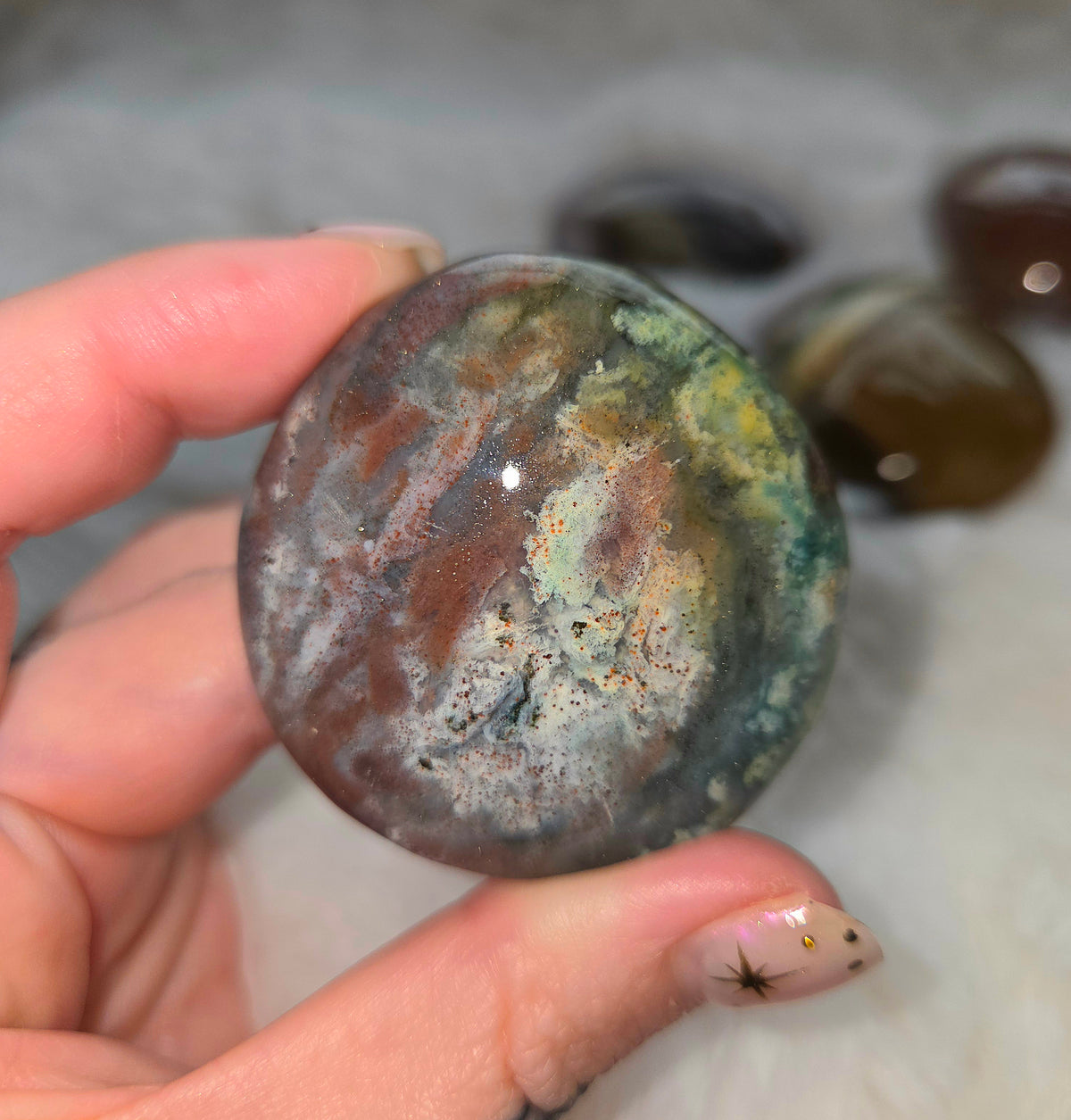 Ocean Jasper Palms - You pick