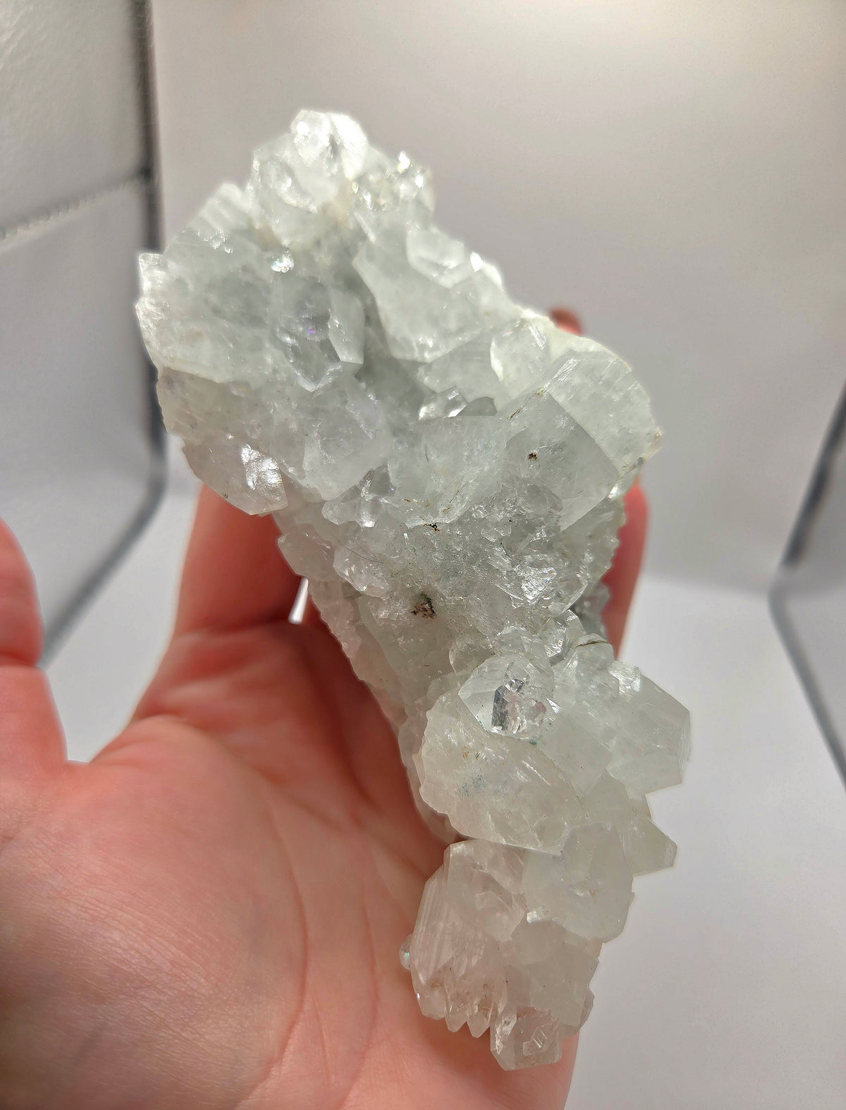 Apophyllite Cluster