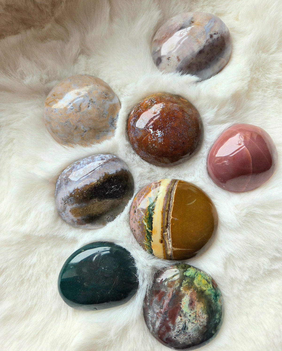 Ocean Jasper Palms - You pick
