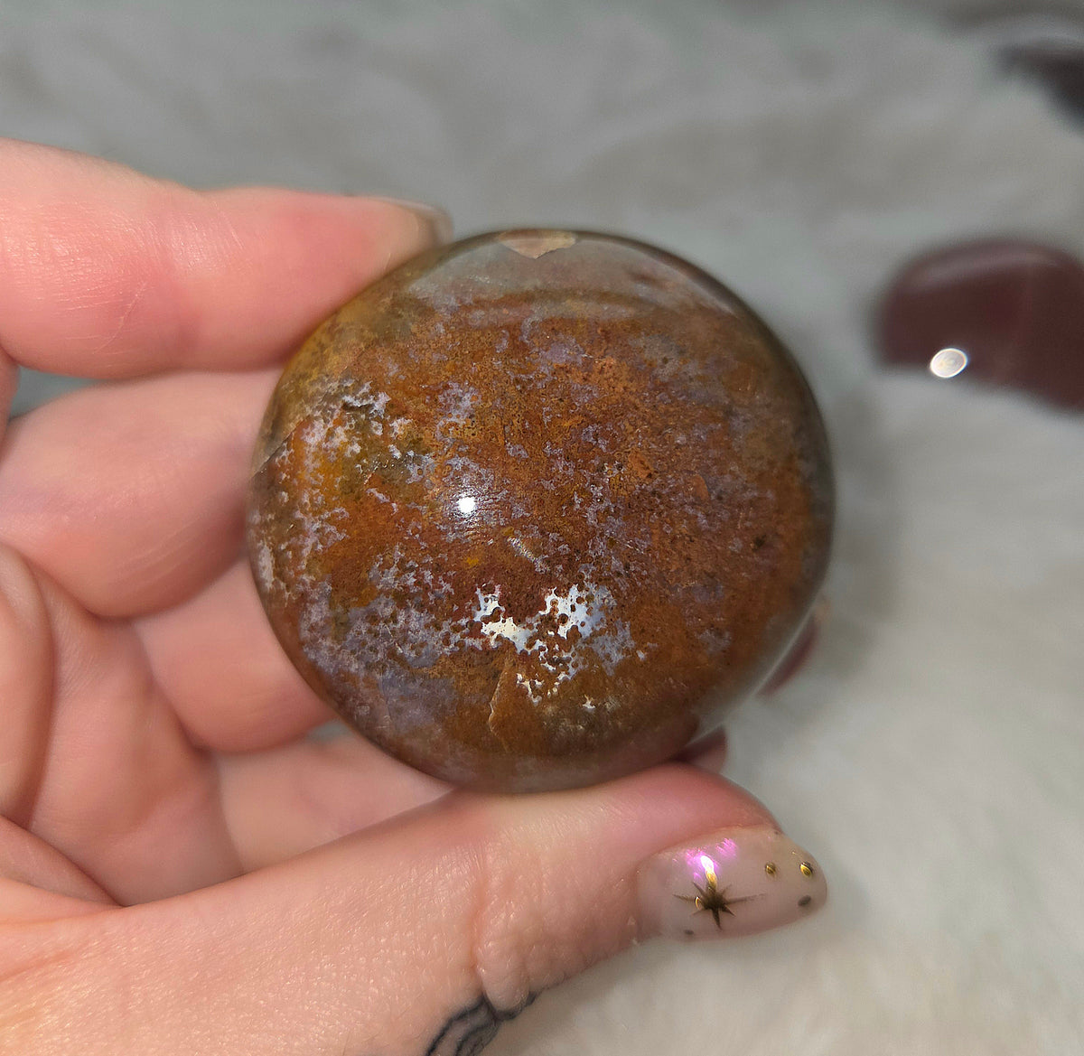 Ocean Jasper Palms - You pick