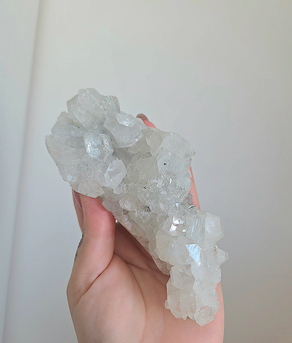 Apophyllite Cluster