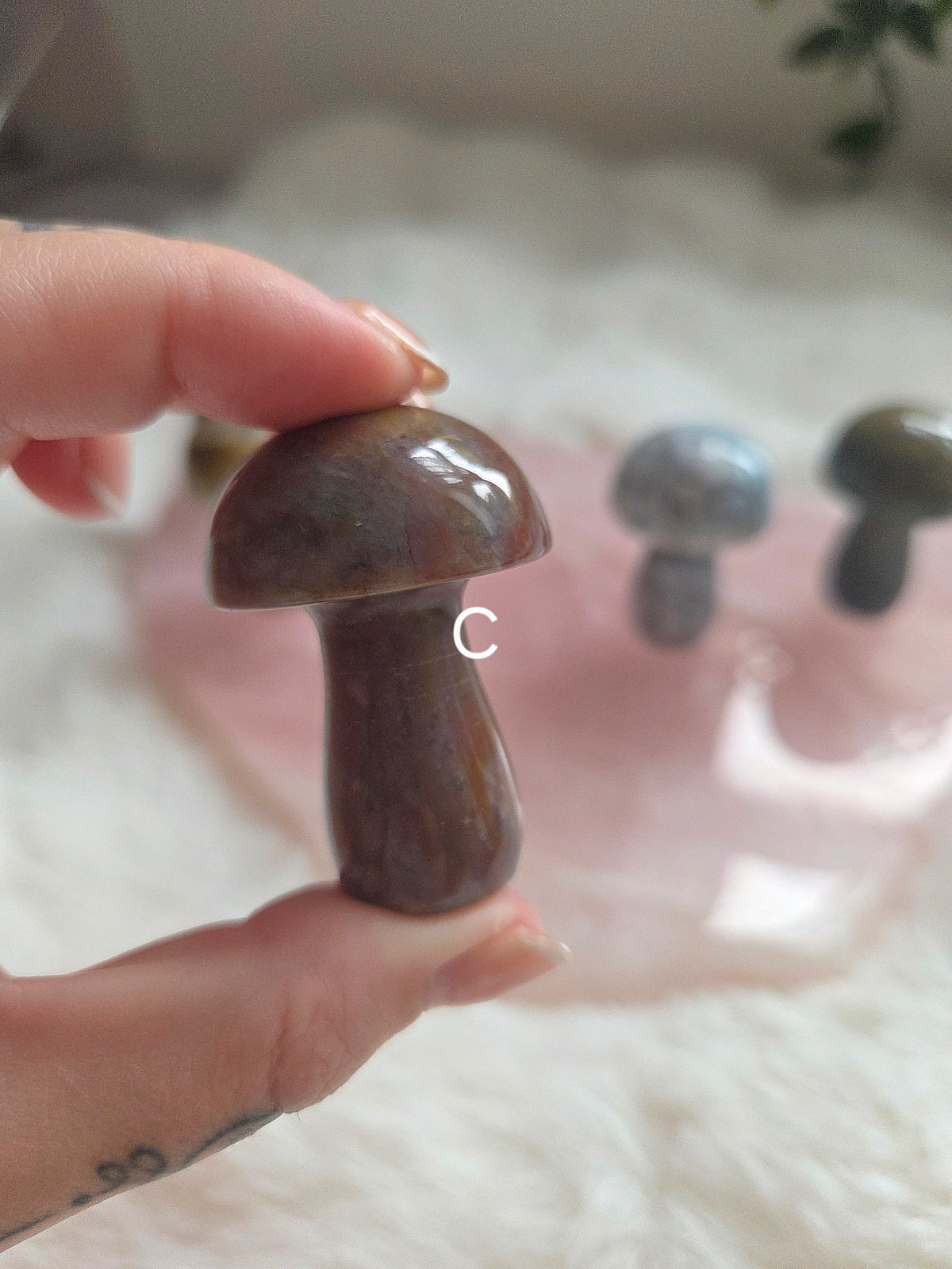 Ocean Jasper Mushroom