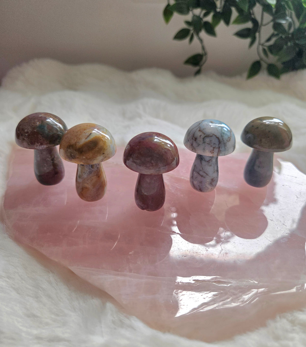 Ocean Jasper Mushroom